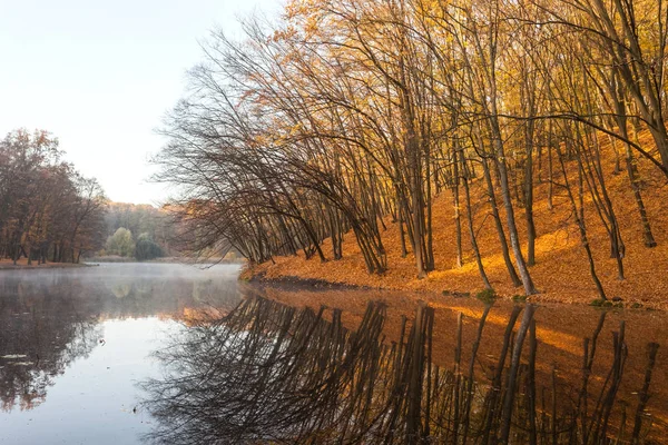 Осенний Городской Парк Киева — стоковое фото