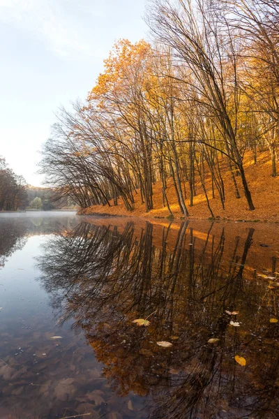 Otoño Parque Ciudad Kiev —  Fotos de Stock