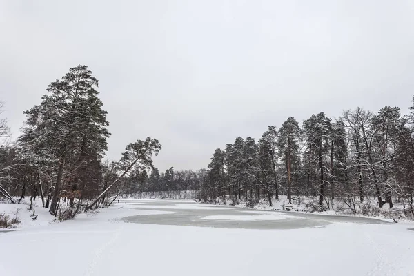 朝の冬公園 — ストック写真