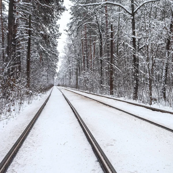 Linha Eléctrico Através Inverno Kiev Cidade Ucrânia — Fotografia de Stock