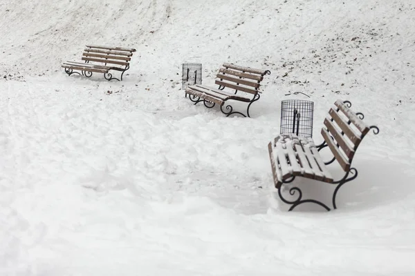 Sneeuw Winter Stadspark — Stockfoto