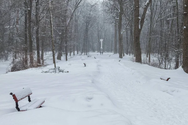 Winter Stadspark Ochtend — Stockfoto