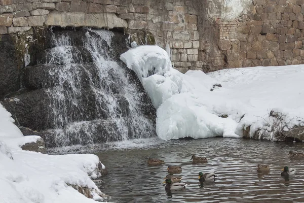 Winter Prachtige Bevroren Waterval Fontein Met Trapsgewijze Ijspegels Uit Druipende — Stockfoto