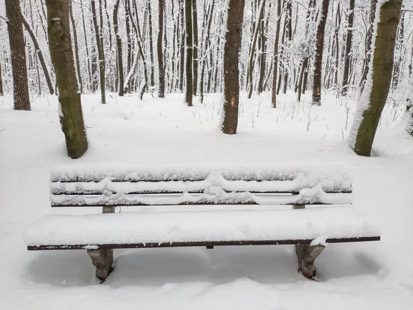 Één Bank Bedekt Met Sneeuw Winter Park — Stockfoto