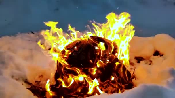 Ogień Zwolnionym Tempie Kominek Spalanie — Wideo stockowe