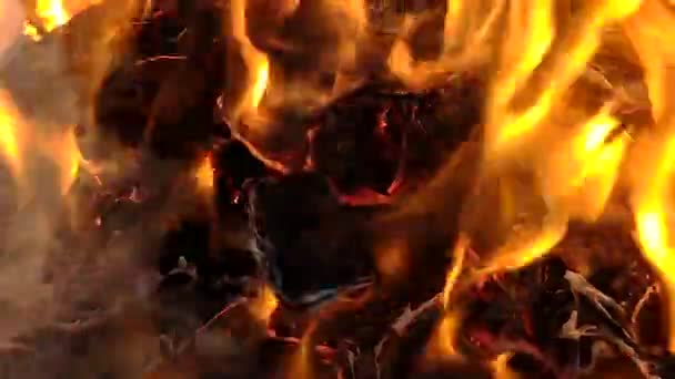 Fuoco Ardente Nella Neve — Video Stock