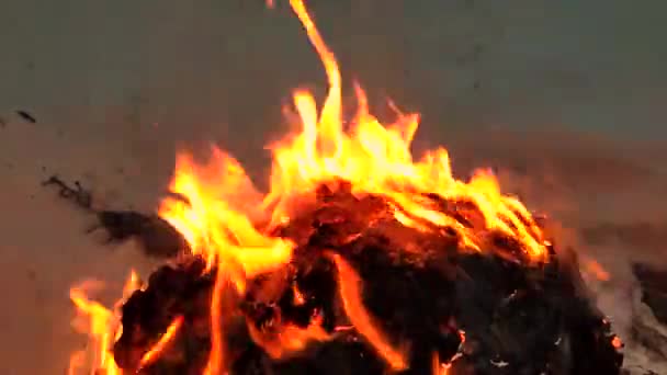 雪の中で燃えている火 — ストック動画