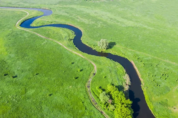 Vista Superior Drone Disparo Campo Verde Río — Foto de Stock