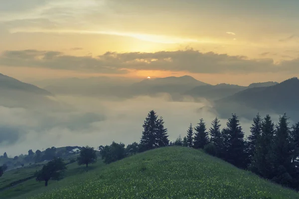 Majestic view on beautiful fog mountains in mist landscape. Dramatic unusual scene. Travel background. Exploring beauty world. Carpathian mountains. Ukraine. Europe.