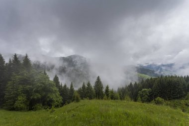 Sisin içinde dağ. Ukrayna