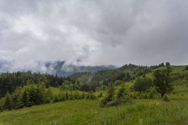 Sisin içinde dağ. Ukrayna