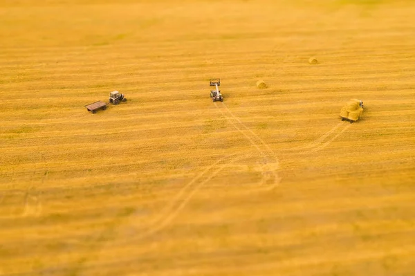 Μηχανή Συγκομιδής Που Δουλεύει Στο Χωράφι Κάτοψη Από Drone — Φωτογραφία Αρχείου