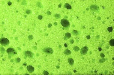 Arkaplan için soyut makro Sünger dokusu 