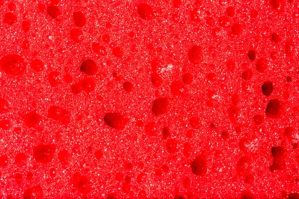 Abstract Macro Sponge Textures Background — Stock Photo, Image