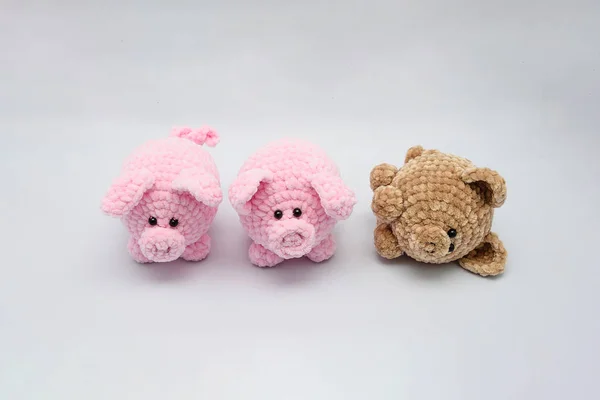 2019 Ano Porco Conceito Presente Pequenos Brinquedos Infantis Macios Que — Fotografia de Stock