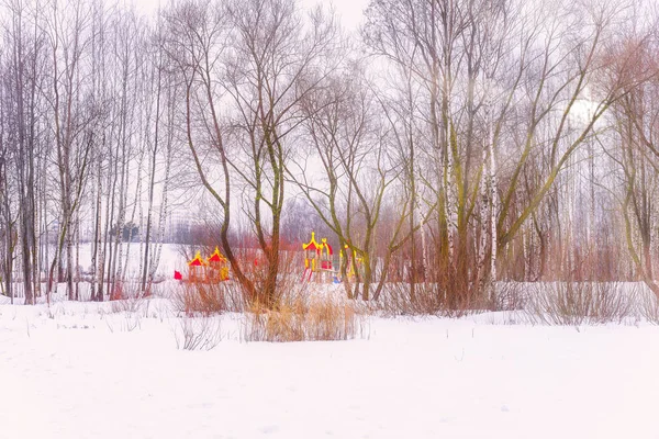 Winterhintergrund Aus Schneebedeckten Bäumen Schneebedeckten Frosch Der Nähe Der Stadt — Stockfoto