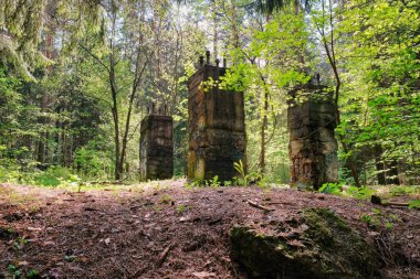 Yeşil ormanda güneş ışığında pitoresk bir heykelin fotoğrafı, bahar zamanı. Sabahları güzel doğa. Sihirli peri ormanı.