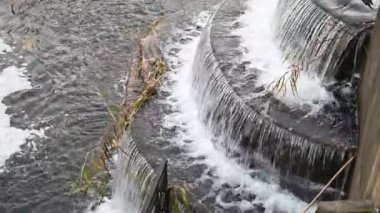 Sonbahar günü parktaki bir şelalenin videosu..