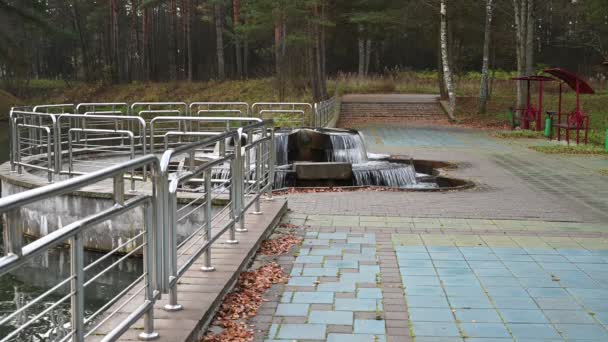 Video van een waterval in een park op een herfstdag. — Stockvideo