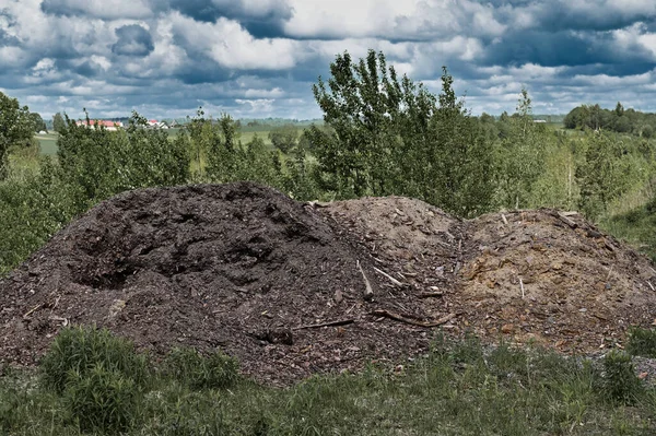 Landschaftsfoto Berg Von Land Unter Einem Baum Kein Volk — Stockfoto