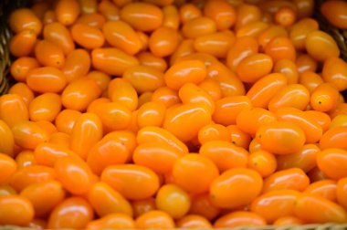 Portakallı vişneli domates fotoğrafı satışa hazır.