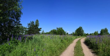 Yazın güneşli havalarda arka planda bulutlu bir tarlanın panoramik fotoğrafı..