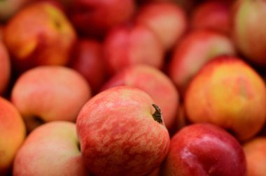 Bir marketteki tepside meyve satmaya hazır nektarin meyvelerinin büyük bir fotoğrafı..
