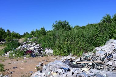 Güneşli yaz havasında çöplerin gökyüzüne karşı çekilmiş fotoğrafı..