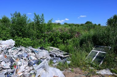 Güneşli yaz havasında çöplerin gökyüzüne karşı çekilmiş fotoğrafı..