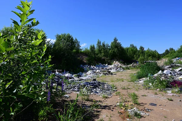 Yazın Güneşli Havalarda Mavi Gökyüzüne Karşı Bir Tarladaki Çöplerin Yatay — Stok fotoğraf