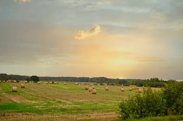 Foto de um campo e palheiro. A foto foi tirada no outono ao pôr-do-sol — Fotografia de Stock