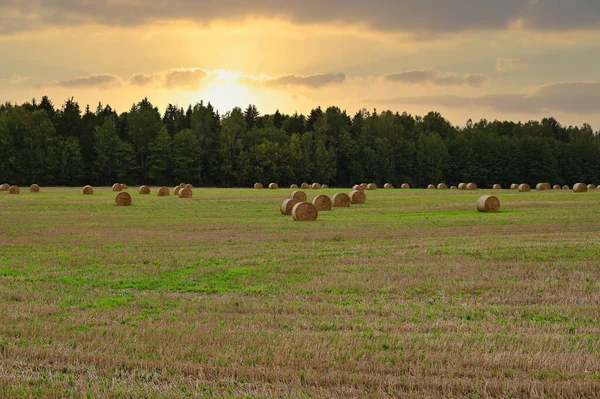 Фото поля и стога сена. Снимок сделан осенью на закате — стоковое фото