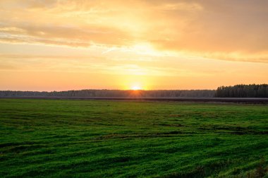 Akşam günbatımının resmi Sonbaharda gökyüzü yeşil bir tarlanın arka planına karşı