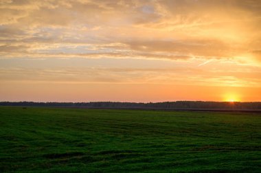 Akşam günbatımının resmi Sonbaharda gökyüzü yeşil bir tarlanın arka planına karşı