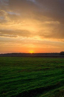 Sonbahar turuncu güneşinde akşam günbatımının dikey fotoğrafı.