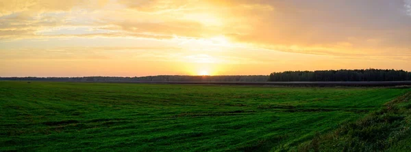 Panoramabild av ett grönt fält i orange nedgående sol på hösten mot bakgrund av en dramatisk himmel — Stockfoto