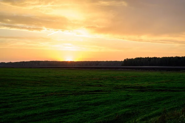 Пейзаж фотографии вечернего неба заката осенью на фоне зеленого поля под оранжевым солнцем — стоковое фото