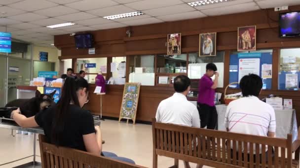Чіанг Травня Таїланд 2018 Травня Малий Тварина Лікарні Університету Чіанг — стокове відео