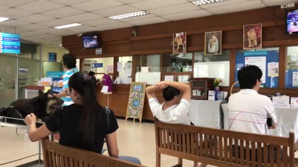 Chiang Mai Tailandia Mayo 2018 Hospital Pequeños Animales Universidad Chiangmai — Vídeos de Stock