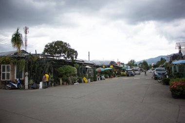 Chiangmai, Tayland - 13 Temmuz 2018: Kam Tieng ağaç Pazar. Büyük ağaç Market Chiangmai City.