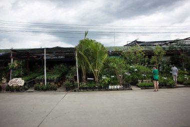 Chiangmai, Tayland - 13 Temmuz 2018: Kam Tieng ağaç Pazar. Büyük ağaç Market Chiangmai City.