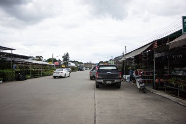 Chiangmai, Tayland - 13 Temmuz 2018: Kam Tieng ağaç Pazar. Büyük ağaç Market Chiangmai City.