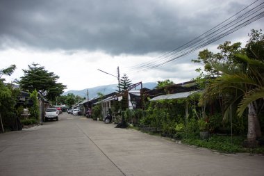 Chiangmai, Tayland - 13 Temmuz 2018: Kam Tieng ağaç Pazar. Büyük ağaç Market Chiangmai City.