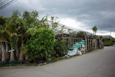Chiangmai, Tayland - 13 Temmuz 2018: Kam Tieng ağaç Pazar. Büyük ağaç Market Chiangmai City.