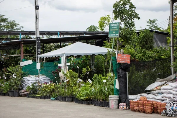 Chiangmai, Tayland - 13 Temmuz 2018: Kam Tieng ağaç Pazar. Büyük ağaç Market Chiangmai City.