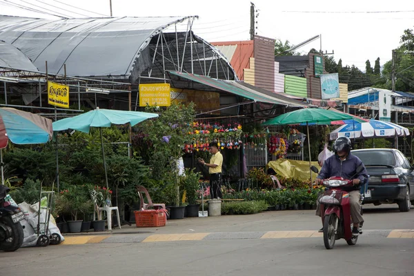 Chiangmai, Tayland - 13 Temmuz 2018: Kam Tieng ağaç Pazar. Büyük ağaç Market Chiangmai City.