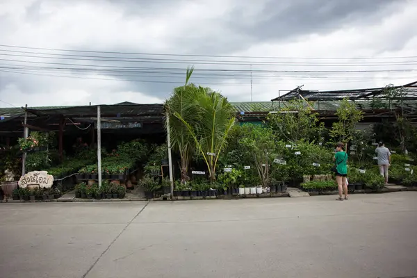 Chiangmai, Tayland - 13 Temmuz 2018: Kam Tieng ağaç Pazar. Büyük ağaç Market Chiangmai City.