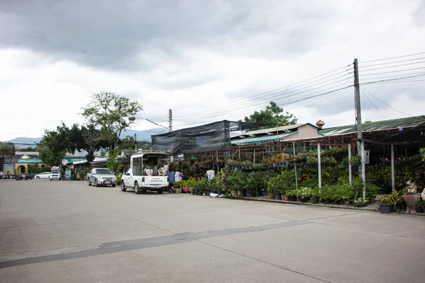Chiangmai, Tayland - 13 Temmuz 2018: Kam Tieng ağaç Pazar. Büyük ağaç Market Chiangmai City.