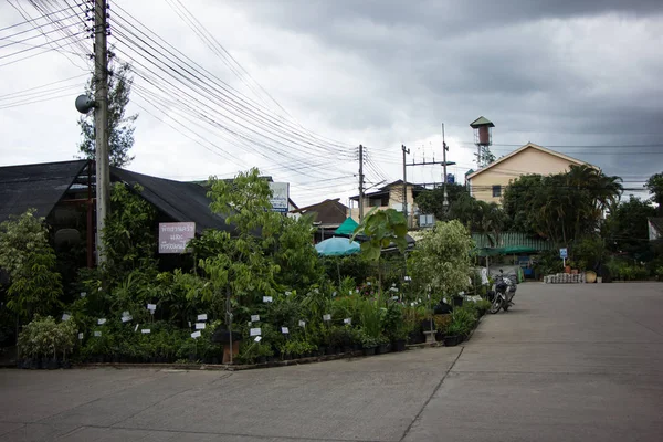 Chiangmai, Tayland - 13 Temmuz 2018: Kam Tieng ağaç Pazar. Büyük ağaç Market Chiangmai City.