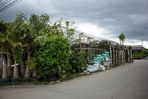 Chiangmai, Tayland - 13 Temmuz 2018: Kam Tieng ağaç Pazar. Büyük ağaç Market Chiangmai City.